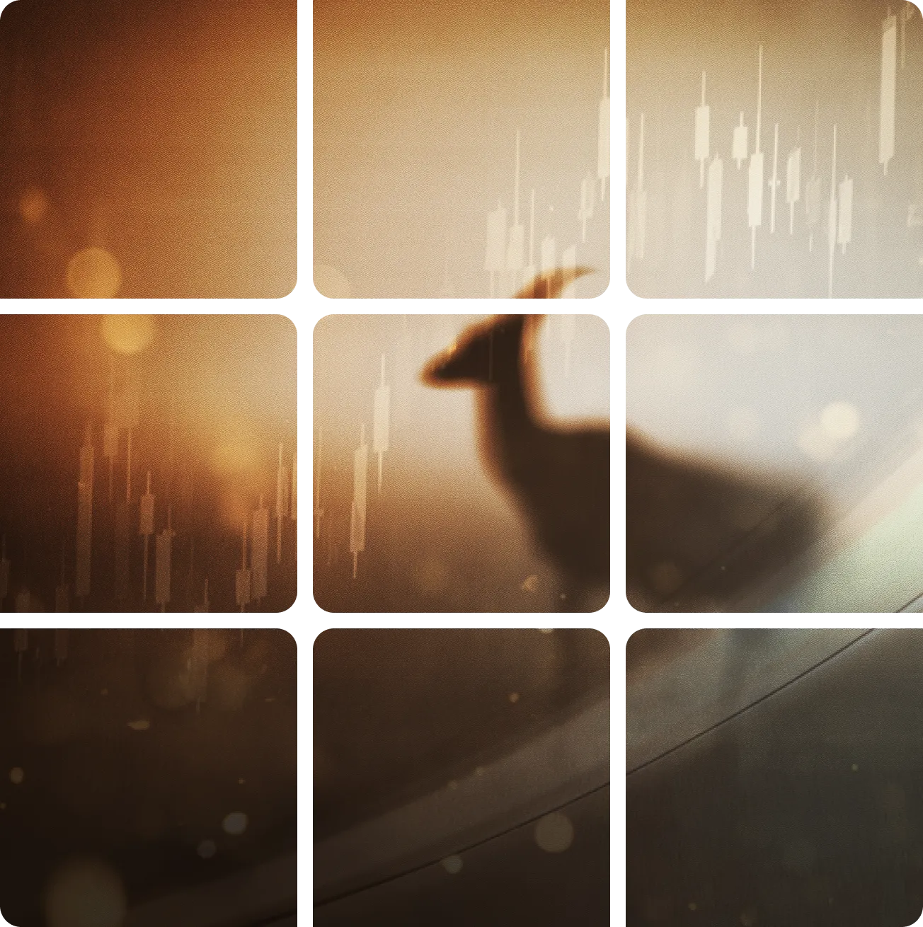 Where Vision Meets Innovation